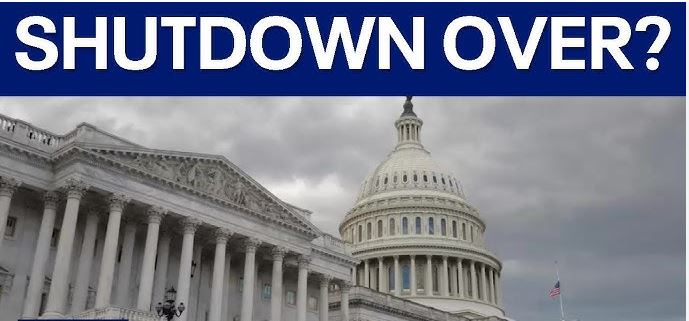 The South Asian Insider