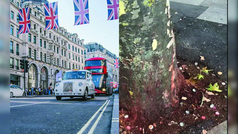 London Streets Painted Red By Paan, UK Council Battles Rs 35 Lakh Spit Crisis
