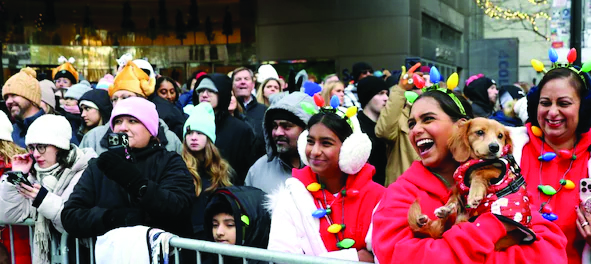 The South Asian Insider